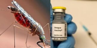 क्या अब थमेगा डेंगू का कहर? भारत में पहली वैक्सीन को मंजूरी, जानिए किसे लगेगी और कितनी है असरदार Dengue Vaccine India