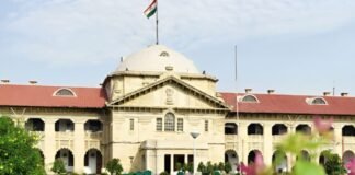 गौहत्या पर सख्त रुख क्यों? Allahabad High Court की टिप्पणी ने बढ़ाई बहस, NSA पर बड़ा फैसला Allahabad High Court