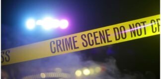 पहले दरिंदगी, फिर बेरहमी से हत्या: सड़क किनारे मिला महिला का अधूरा शव, जांच जारी Bihar News