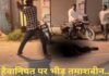 सड़क किनारे पड़ा रहा युवक… अचानक टूट पड़ा हमलावर, लोहे की रॉड से बरसाए वार, क्या थी दुश्मनी की असली वजह? Amroha News