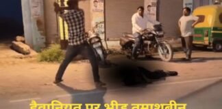 सड़क किनारे पड़ा रहा युवक… अचानक टूट पड़ा हमलावर, लोहे की रॉड से बरसाए वार, क्या थी दुश्मनी की असली वजह? Amroha News