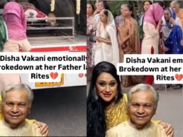 दिशा वकानी