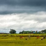 अप्रैल में मौसम का बड़ा खेल! बेमौसम बारिश और ओलावृष्टि से हिली खेती, क्या बढ़ने वाली है देश में महंगाई? अप्रैल