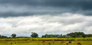 अप्रैल में मौसम का बड़ा खेल! बेमौसम बारिश और ओलावृष्टि से हिली खेती, क्या बढ़ने वाली है देश में महंगाई? अप्रैल