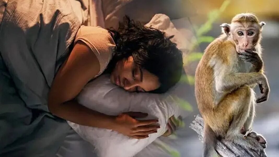 सपने में बंदर ने काट लिया तो संभल जाएं! कहीं ये आने वाली आर्थिक परेशानी का बड़ा संकेत तो नहीं? बंदर