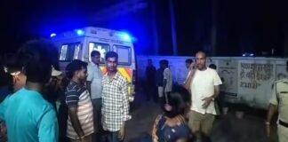 NH-31 पर मौत का तांडव! बस-पिकअप भिड़ते ही बिछ गई लाशें, 10 की मौत से मचा कोहराम NH-31