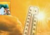 यूपी के 50 जिलों में हीटवेव का अलर्ट जारी, लखनऊ समेत कई शहरों में लोगों का घर से निकलना मुश्किल UP Weather Today