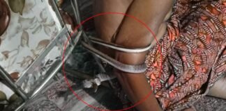 लकवाग्रस्त शख्स की कुर्सी से क्यों लिपटा रहा सांप 2 घंटे तक? ‘नाग फांस’ जैसी घटना ने उड़ाए होश ओडिशा