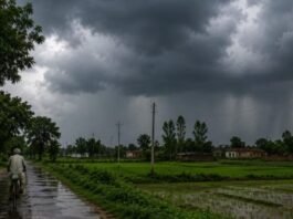 मानसून