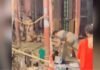 बाल पकड़कर पटक दिया, डंडे से दबाया गला… काशी विश्वनाथ मंदिर के बाहर महिला संग दरोगा की मारपीट Varanasi News