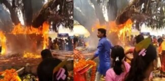 वट सावित्री पर पूजा करते-करते जल उठा बरगद, फिर भी नहीं रुकी महिलाएं! वायरल वीडियो देख लोगों के उड़ गए होश वट सावित्री पूजा
