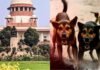 अब सड़कों पर नहीं दिखेंगे आवारा कुत्ते? सुप्रीम कोर्ट का बड़ा फैसला, डॉग लवर्स और NGO को झटका Supreme Court on Stray Dogs