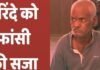 4 साल की मासूम से हैवानियत के बाद हत्या, कोर्ट ने कहा- ‘फांसी भी कम है’, सुनाई मौत की सजा पुणे