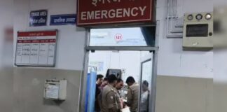 सड़क पर अचानक टूटा पिटबुल का कहर, बुजुर्ग महिला पर हमले के बाद अस्पताल में क्यों मचा बवाल? कानपुर