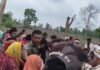 जंगल में ऐसा क्या हुआ कि वनरक्षक जान बचाकर भागे? 8 से ज्यादा कर्मचारी घायल MP News