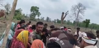 जंगल में ऐसा क्या हुआ कि वनरक्षक जान बचाकर भागे? 8 से ज्यादा कर्मचारी घायल MP News