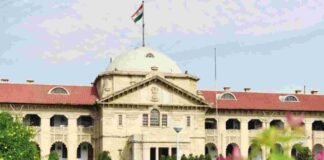 हाईकोर्ट का बड़ा संदेश: अब अधिकारियों को भी लेना होगा कर्मचारियों की गलती का जिम्मा Allahabad High Court