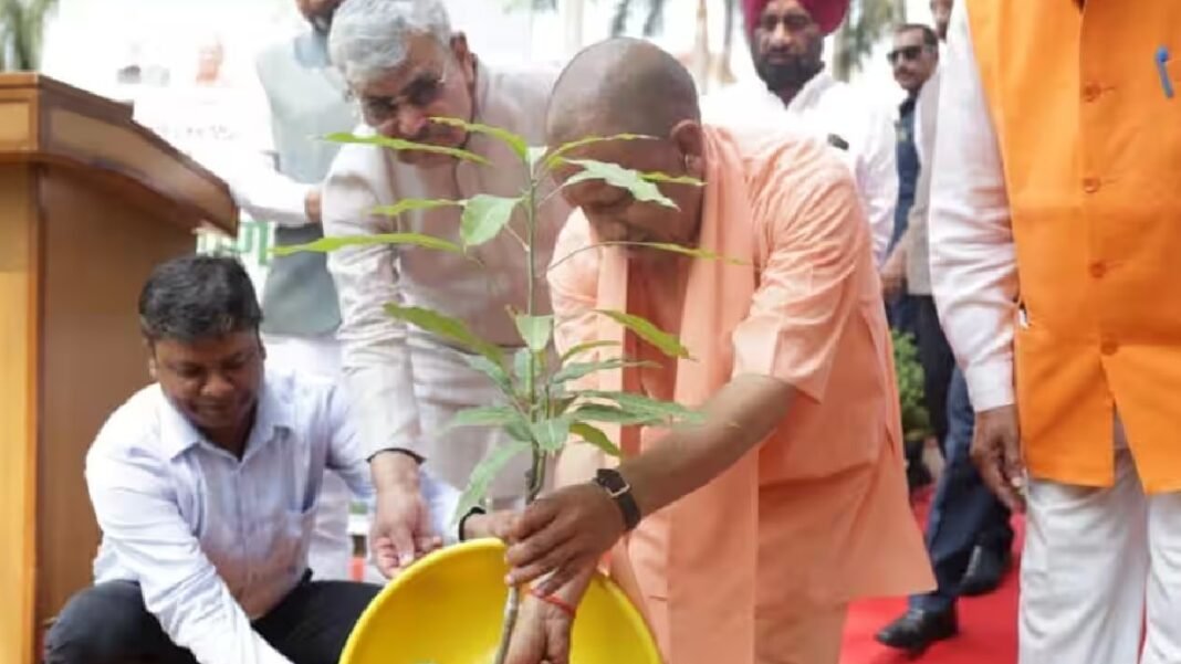 UP BJP