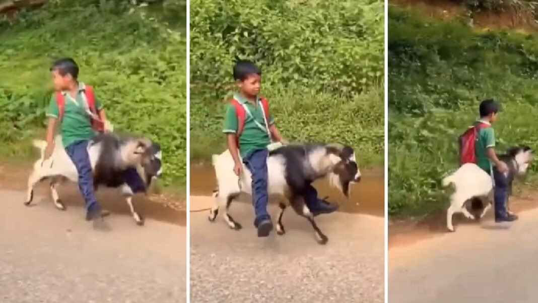 स्कूल जाने के लिए बच्चे ने चुनी ऐसी सवारी, वीडियो देखकर लोग पूछ रहे- आखिर ये आइडिया आया कहां से? स्कूल