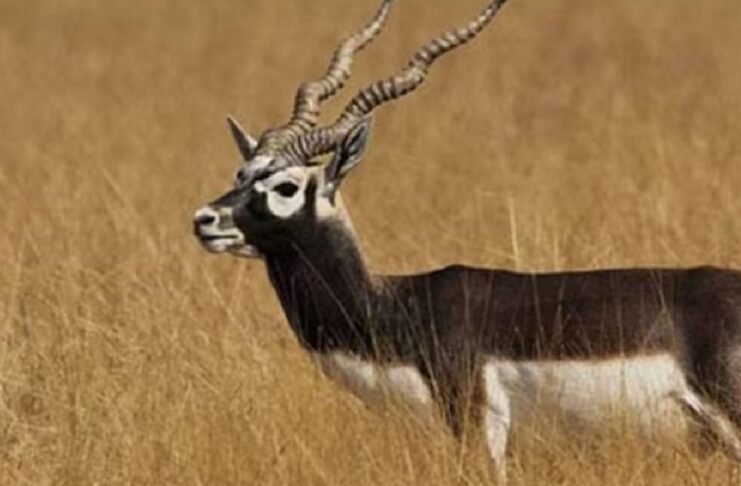 राजस्थान