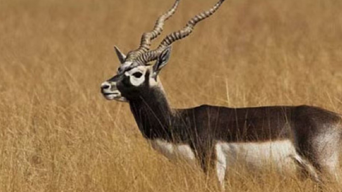 राजस्थान राजस्थान