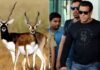 सलमान खान की ‘काला हिरण’ फिल्म पर बढ़ा विवाद, अब पाकिस्तान से आई ड्रोन हमले की धमकी; कोर्ट रूम से लेकर अंडरवर्ल्ड तक मचा हड़कंप! सलमान खान