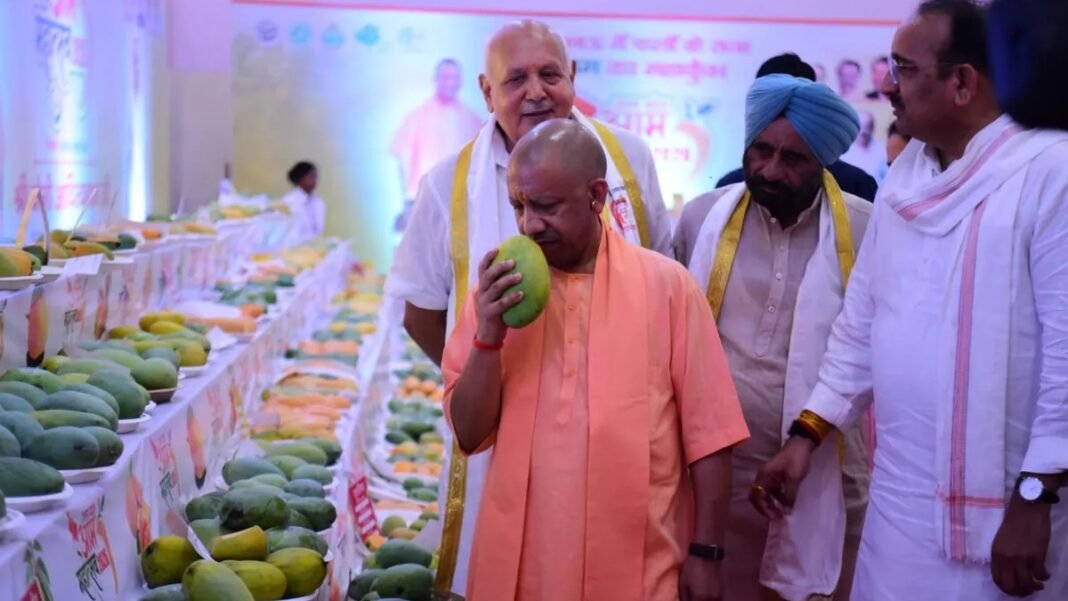 2 किलो के आम को देखकर क्यों रुक गए CM योगी? लखनऊ के मैंगो फेस्टिवल में 800 किस्मों ने सबको किया हैरान CM योगी
