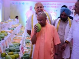 2 किलो के आम को देखकर क्यों रुक गए CM योगी? लखनऊ के मैंगो फेस्टिवल में 800 किस्मों ने सबको किया हैरान CM योगी