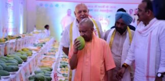 2 किलो के आम को देखकर क्यों रुक गए CM योगी? लखनऊ के मैंगो फेस्टिवल में 800 किस्मों ने सबको किया हैरान CM योगी
