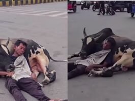 Viral Video