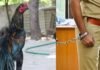 1000 रुपये और एक मुर्गे के लालच में फंस गया पुलिसकर्मी! 12 साल बाद कोर्ट ने सुनाई बड़ी सजा राजस्थान