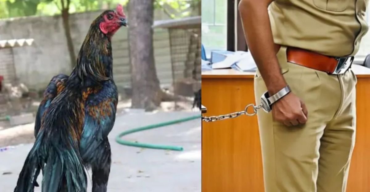 राजस्थान राजस्थान
