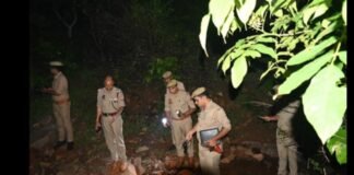जंगल में घूमने गई युवती के साथ क्या हुआ? वनकर्मी बनकर आए युवकों पर गंभीर आरोप, पुलिस ने शुरू की बड़ी तलाश UP News