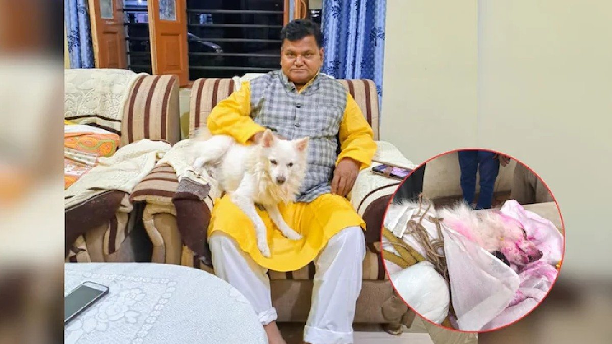 बैतूल बैतूल
