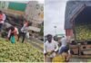 Viral Video: आम से भरा ट्रक पलटा तो हुआ कुछ ऐसा, घायल ड्राइवर को छोड़ भीड़ ने जो किया उसे देखकर लोग रह गए हैरान Viral Video
