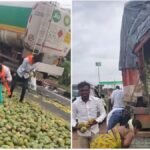 Viral Video: आम से भरा ट्रक पलटा तो हुआ कुछ ऐसा, घायल ड्राइवर को छोड़ भीड़ ने जो किया उसे देखकर लोग रह गए हैरान Viral Video