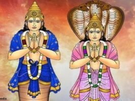 राहु-केतु