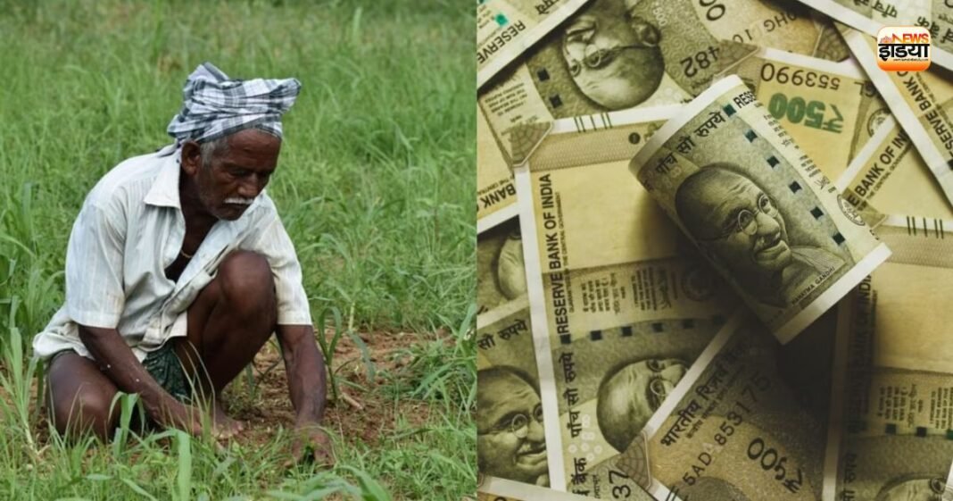 Farmer Scheme
