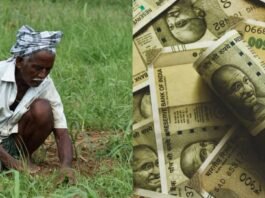 Farmer Scheme