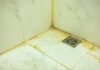 Bathroom Tiles Cleaning Tips: बाथरूम की काली टाइल्स देखकर हो गए परेशान? घर की इन चीजों से चमका दें फर्श बाथरूम