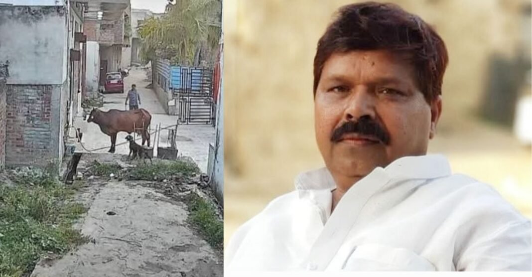 गाय पर कुत्तों से हमला कराने का आरोप, CCTV सामने आने के बाद सपा नेता कैश खान पर कार्रवाई सपा नेता कैश खान