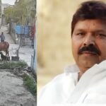 गाय पर कुत्तों से हमला कराने का आरोप, CCTV सामने आने के बाद सपा नेता कैश खान पर कार्रवाई सपा नेता कैश खान