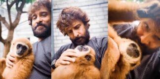 चियान विक्रम के वायरल वीडियो में दिखा ऐसा बंदर, मचा बवाल… वन विभाग ने शुरू की पड़ताल चियान विक्रम