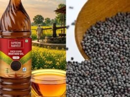रसोई का बजट बिगाड़ रहा तेल: सरसों ₹220 के पार, मूंगफली-पाम ऑयल भी महंगे तेल