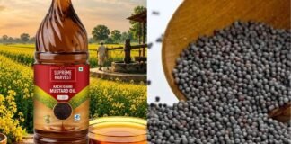 रसोई का बजट बिगाड़ रहा तेल: सरसों ₹220 के पार, मूंगफली-पाम ऑयल भी महंगे तेल