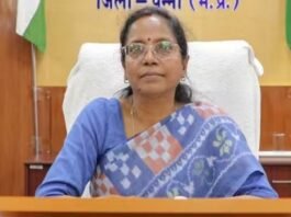 पन्ना कलेक्टर
