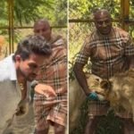 किरण राज पर शेर ने अचानक कर दिया हमला? वायरल वीडियो के पीछे की कहानी जानकर रह जाएंगे हैरान कन्नड़