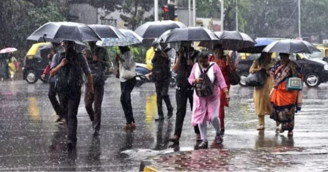 Weather News