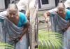 पेड़ कटे, शिकायत हुई और अम्मा पर ही पुलिस की कार्रवाई! अब 7 अफसर करेंगे जांच Bareilly News