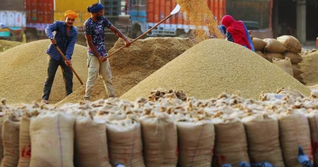 किसानों के खाते में कब आएंगे धान के पैसे? यूपी में इस दिन से शुरू होगी खरीद धान खरीद